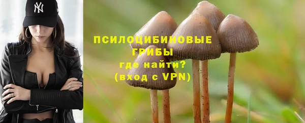 тгк Беломорск