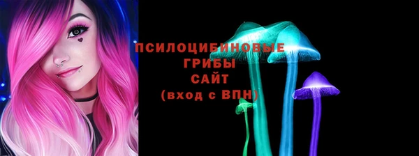 амф Богородицк