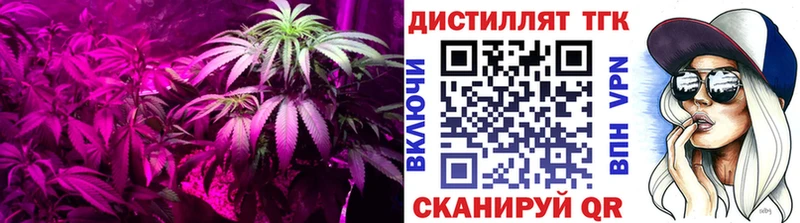 купить Великий Устюг ТГК THC oil