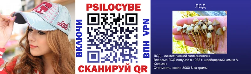 Галлюциногенные грибы Cubensis  Великий Устюг 