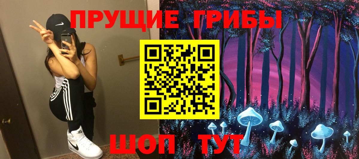 Псилоцибиновые грибы прущие грибы Великий Устюг