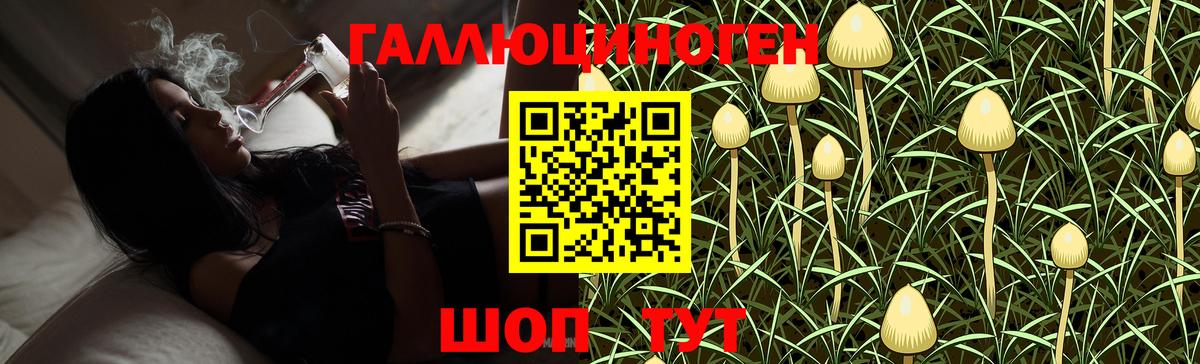 Галлюциногенные грибы MAGIC MUSHROOMS  Вход с VPN  Великий Устюг 